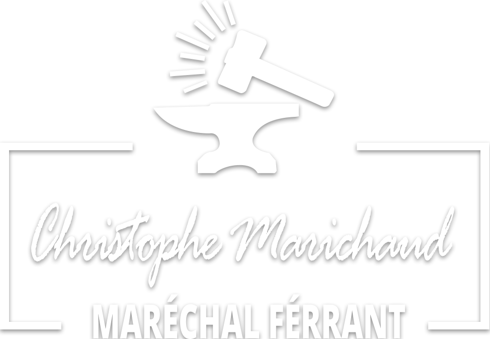 Logo de l'entreprise Maréchal Ferrant Marichaud MFM